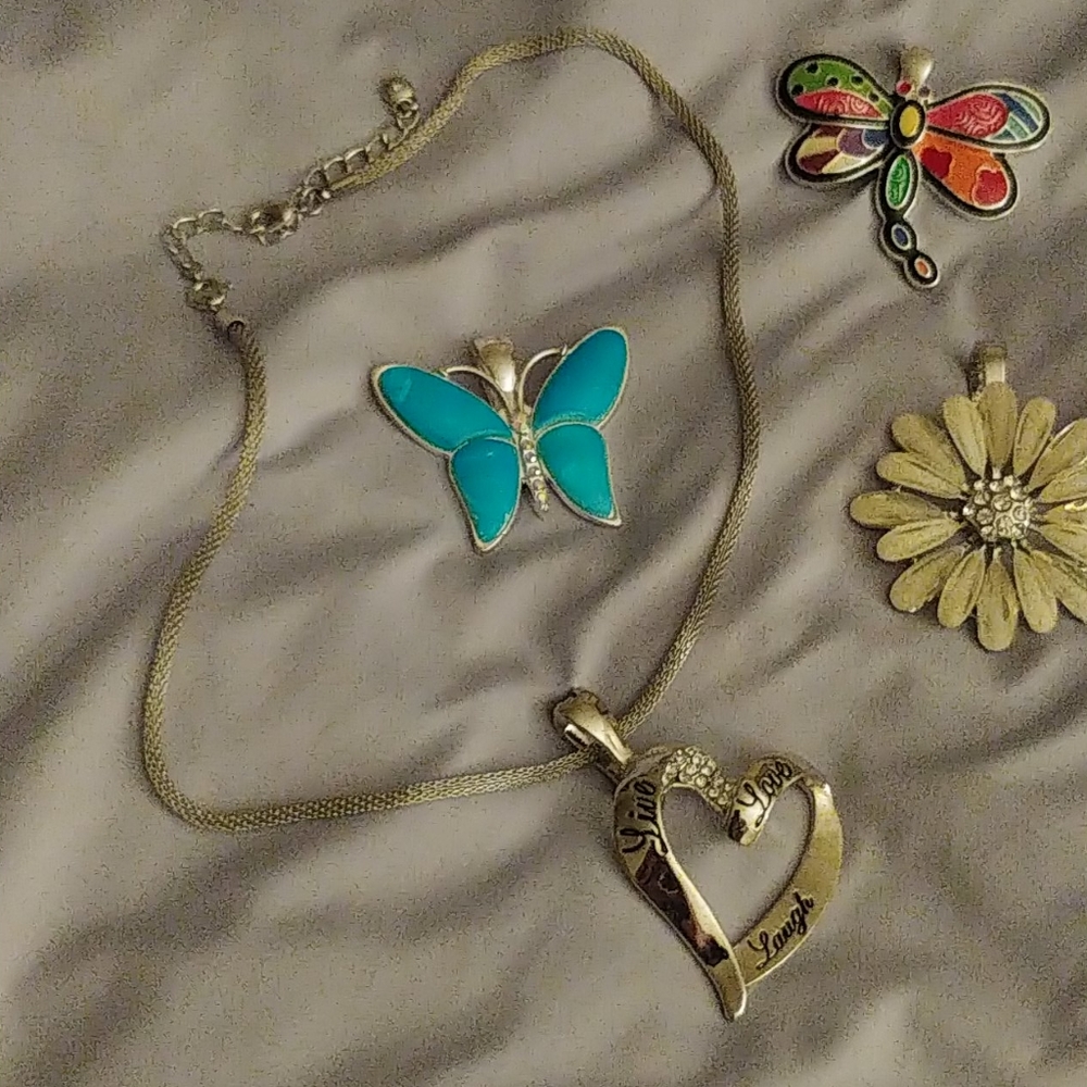 A silver necklace with inter changeable charms